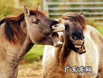 为什么有些朋友注定越走越远?