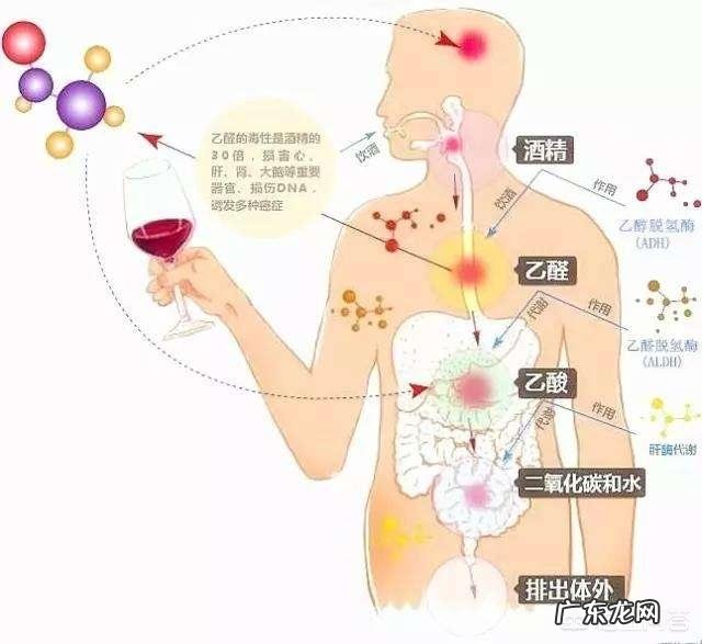 醉酒后有哪些可以迅速解酒的方法?