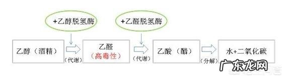 醉酒后有哪些可以迅速解酒的方法?