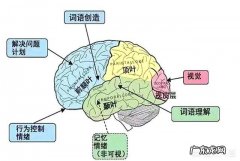 人的大脑装入知识多少，生理前后会发生怎样变化？