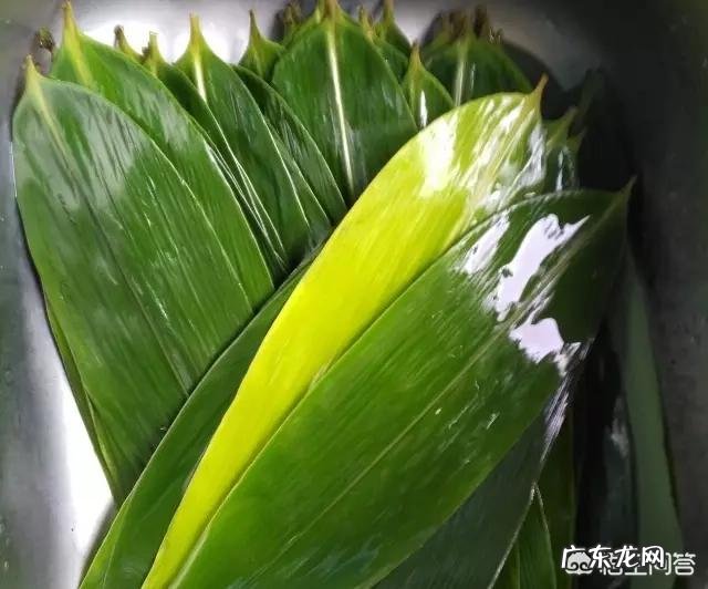 包好的粽子需要煮多久能出锅？肉粽子的肉需要提前煮熟吗？