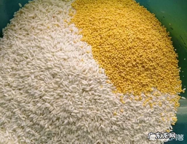 包好的粽子需要煮多久能出锅？肉粽子的肉需要提前煮熟吗？