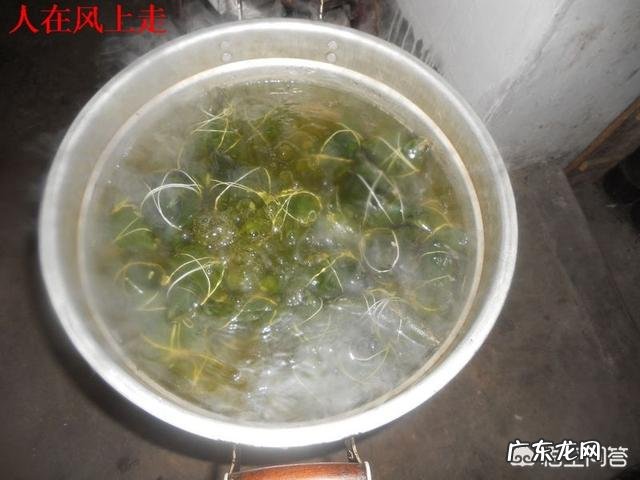 包好的粽子需要煮多久能出锅?肉粽子的肉需要提前煮熟吗?