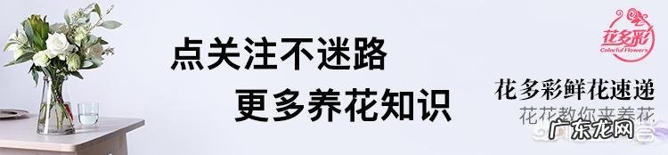 怎样栽培牡丹花？