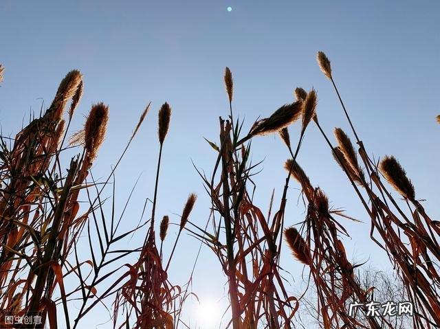 情侣吵架,第一时间该如何做呢?