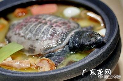 八大菜系之一的徽菜有什么特色?有什么经典代表菜?