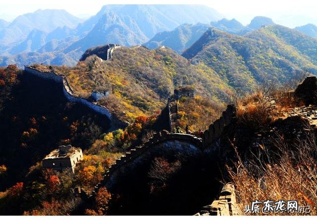 旅行、驴行或探险,在前不着村后不着店荒山野岭中,何以充饥?