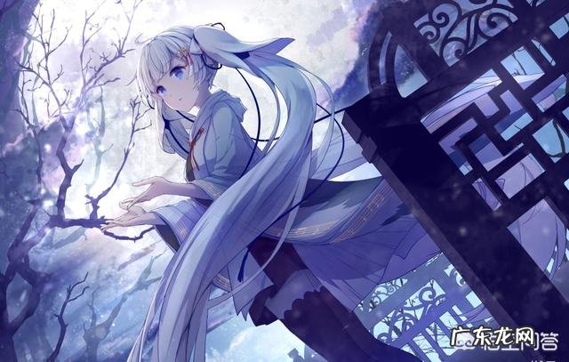 什么星座爱买东西?