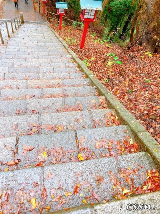 夫妻之间常说的三观不合是指哪三观，怎么办？