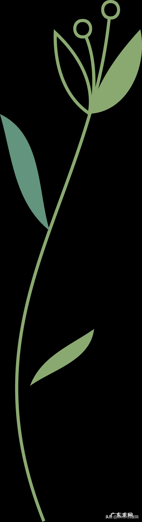 有个“房子”总颤抖，这么危险怎么办？ 房子震动有危险吗