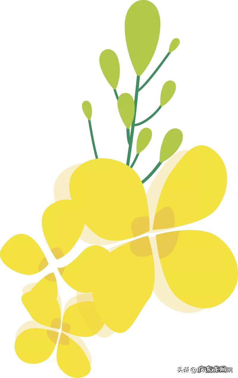 有个“房子”总颤抖,这么危险怎么办? 房子震动有危险吗