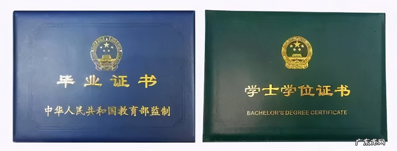 学历学位是什么