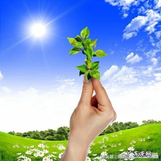 房屋装修甲醛来源主要是什么?