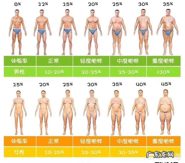 肚子上有很多脂肪,想要腹肌能不能只练腹部?该如何把肚子上的脂肪减掉呢?