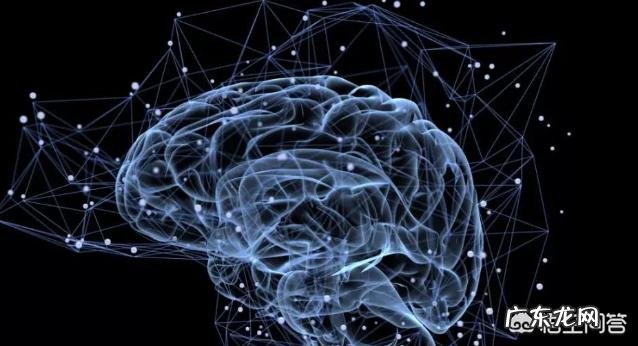 人的生命结束之后,所有的一切都不存在了,怎么理解这个生命过程?