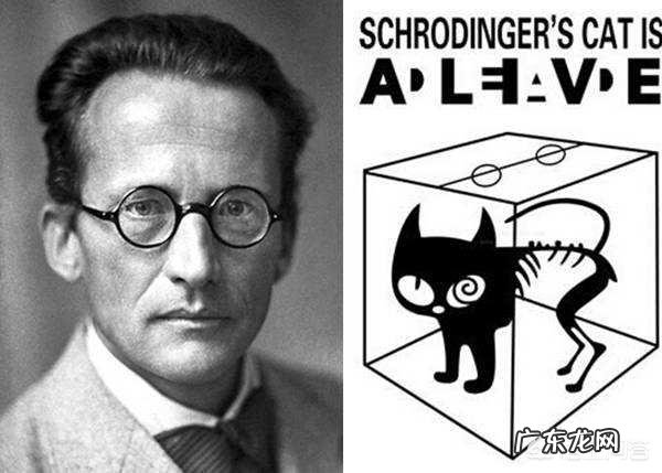 人的生命结束之后,所有的一切都不存在了,怎么理解这个生命过程?