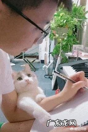 一个40岁的男人,应该拥有什么?