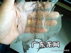 农村里的蟾蜍会脱下一层蟾衣,据说比黄金还贵,但是为什么从来没人在野外看到?