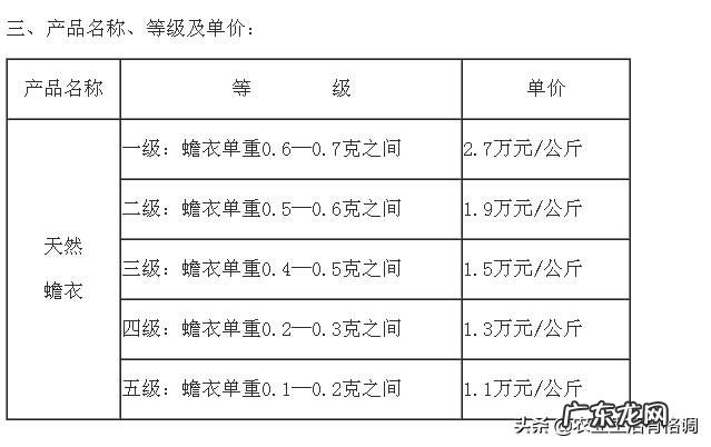 农村里的蟾蜍会脱下一层蟾衣,据说比黄金还贵,但是为什么从来没人在野外看到?