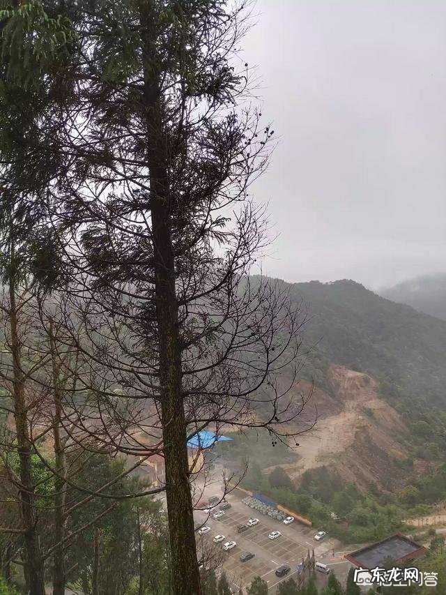 工作任务大于工作经验的“职场小白”该如何坚持下去?