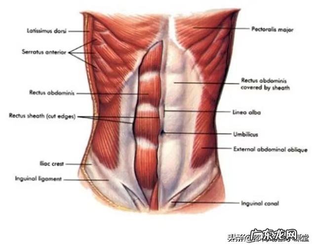 瑜伽该如何让产后妈妈快速回到少女时代呢?