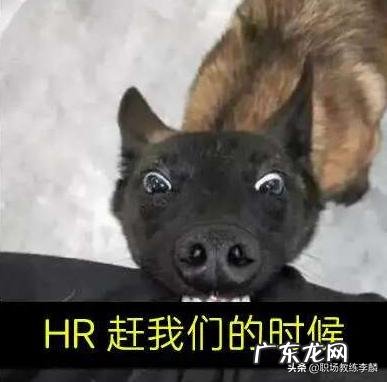 企业裁员很正常，为何京东裁员却骂声不断？