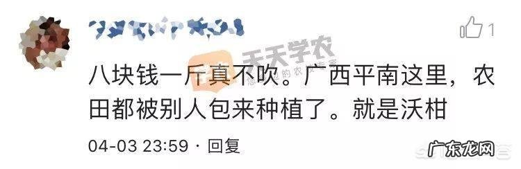 对于农民的丰收节,大家怎么看?