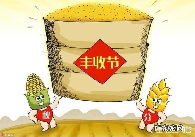 对于农民的丰收节,大家怎么看?