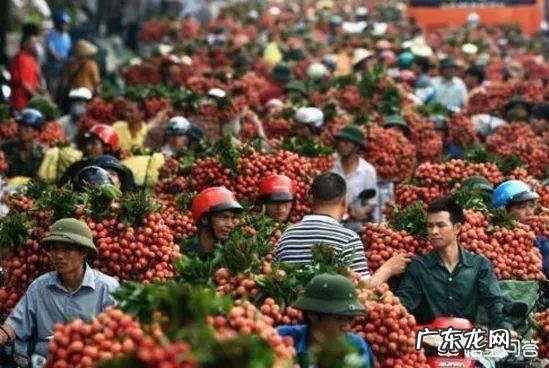 对于农民的丰收节,大家怎么看?