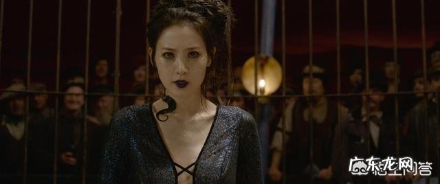 在《神奇动物在哪里》中有哪些跟《哈利波特》关联的情节?