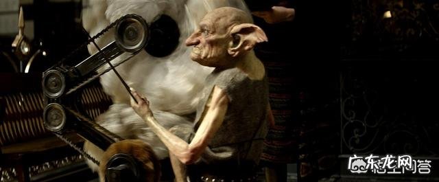 在《神奇动物在哪里》中有哪些跟《哈利波特》关联的情节?