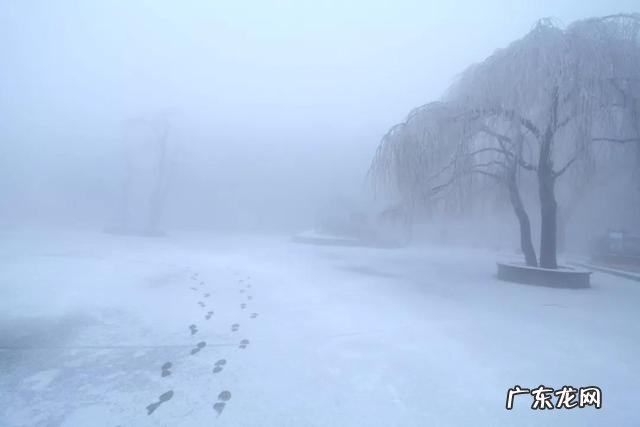 最近多地初雪,好看的雪景照片有哪些?