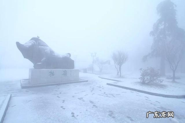 最近多地初雪,好看的雪景照片有哪些?