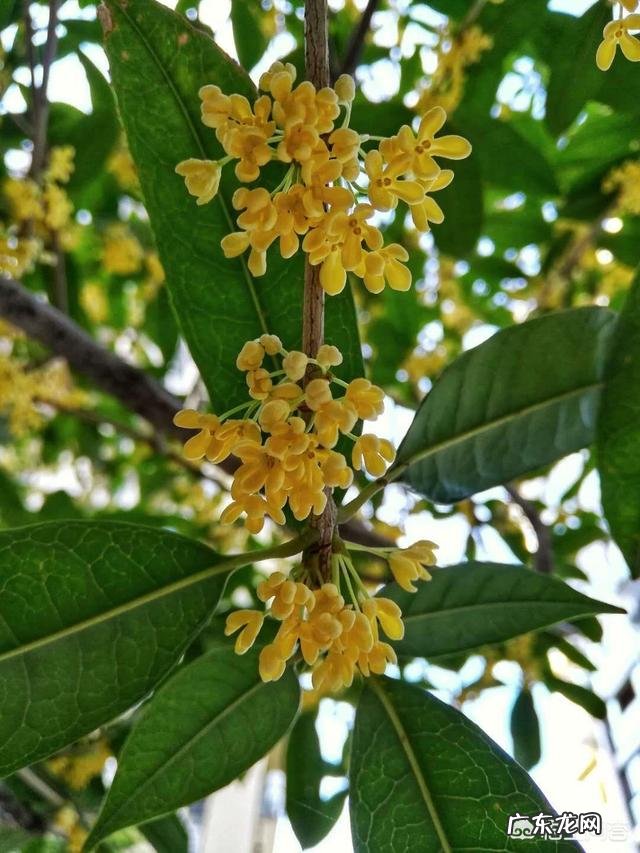 怎样才能树立自信心,有哪些好的建议吗?