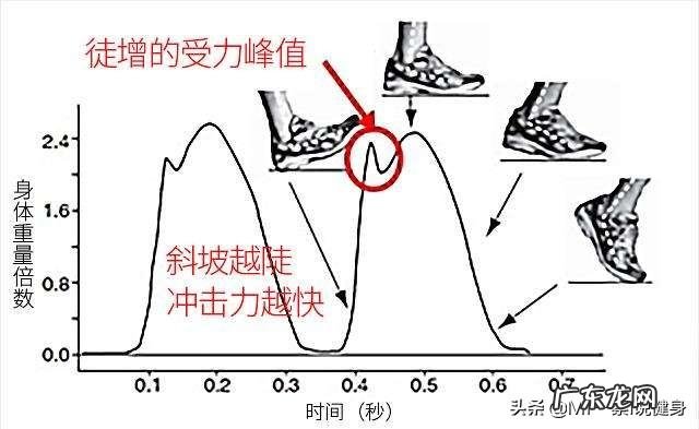 为什么跑步减肥不提倡?