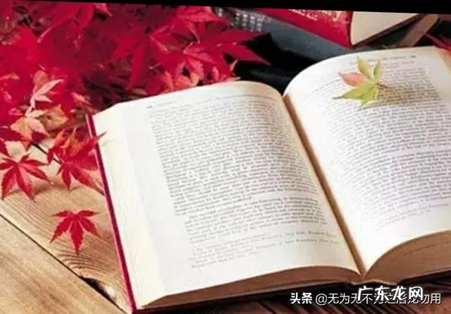 有什么好的方法学习文科吗?