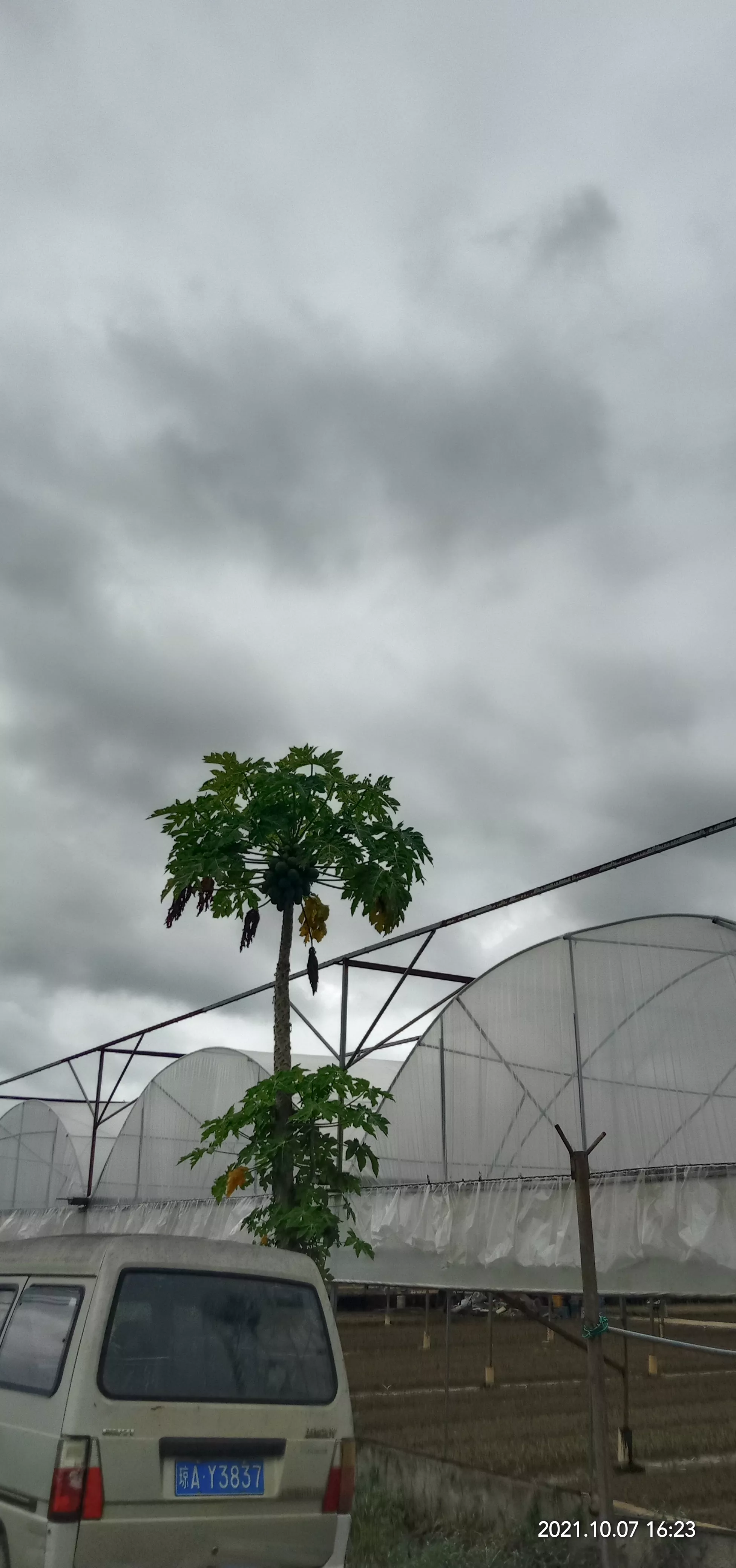 明日寒露,俗语“寒露若逢天下雨,明年正月二月雨水多”准吗?