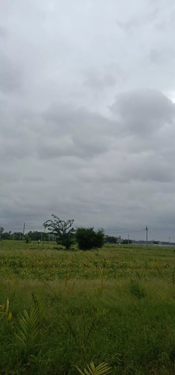 明日寒露,俗语“寒露若逢天下雨,明年正月二月雨水多”准吗?