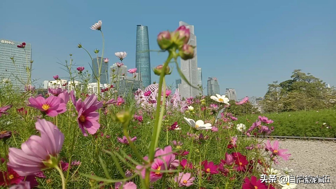 你所在的地方冬天最美景色是什么样子?