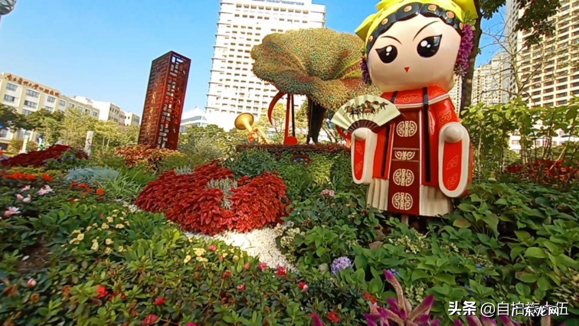 你所在的地方冬天最美景色是什么样子?