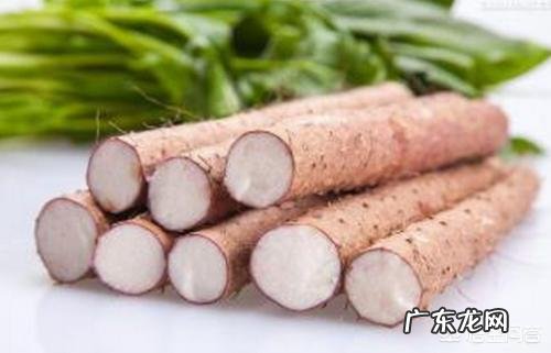 今日是“寒露”节气,饮食上需要注意什么?如何养生,才能助力秋冬少生病?