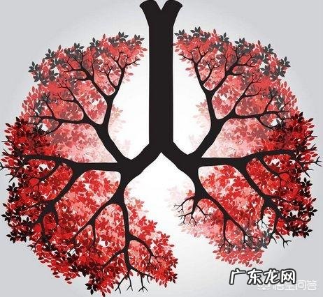 今日是“寒露”节气,饮食上需要注意什么?如何养生,才能助力秋冬少生病?