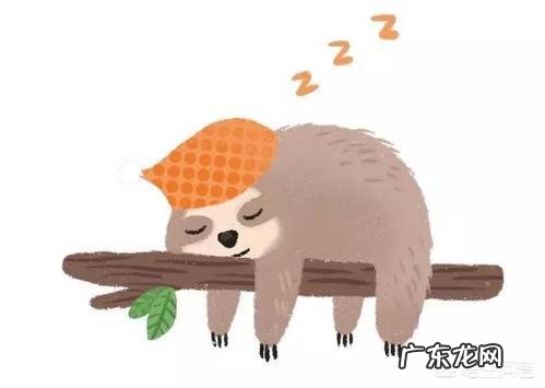 生活中怎么做才能有效提高免疫力?