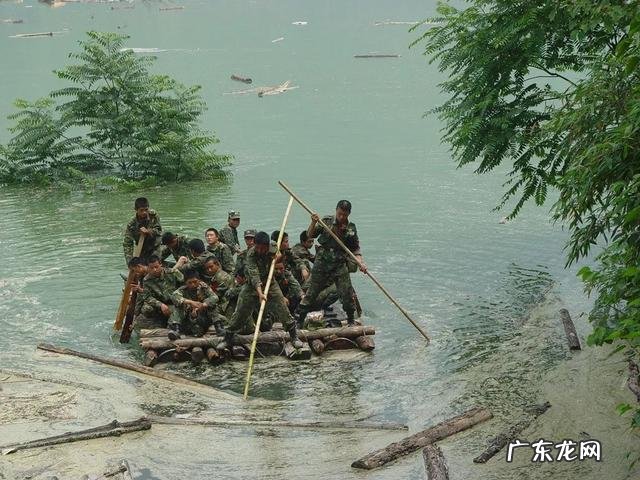 汶川地震“猪坚强”住一室一厅还有专人伺候，你怎么看？