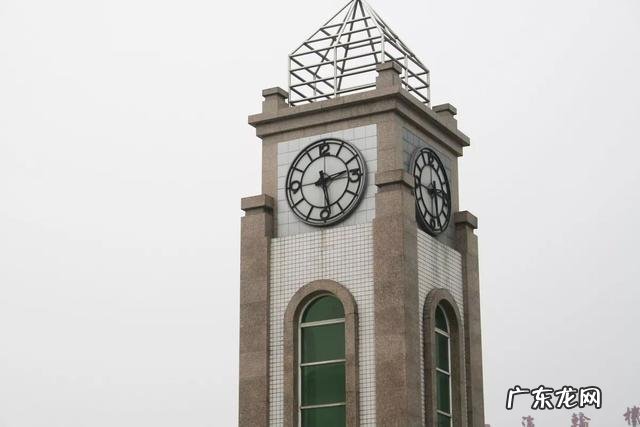 汶川地震“猪坚强”住一室一厅还有专人伺候，你怎么看？