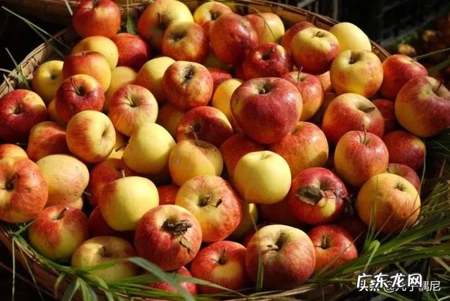 苹果对人体有什么好处？