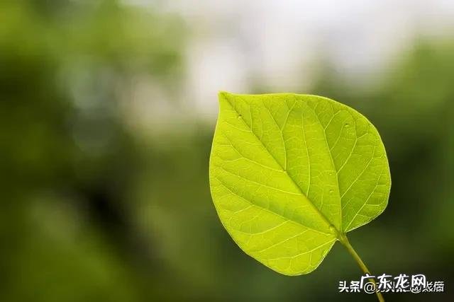 解决失望和伤害的方式是什么?