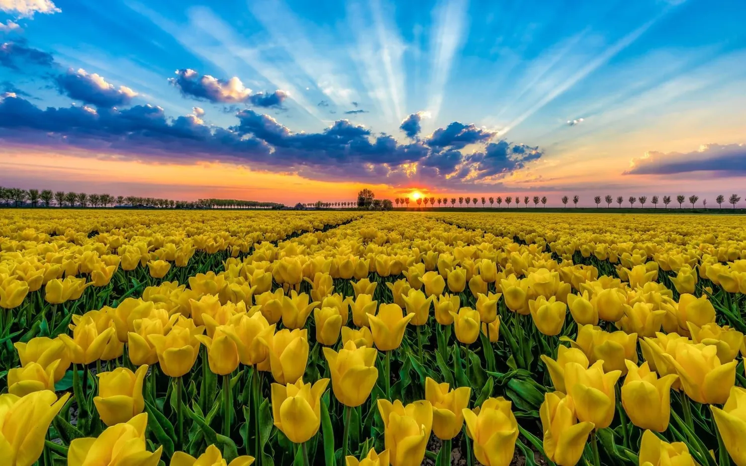 你在头条的哪个瞬间最难忘？