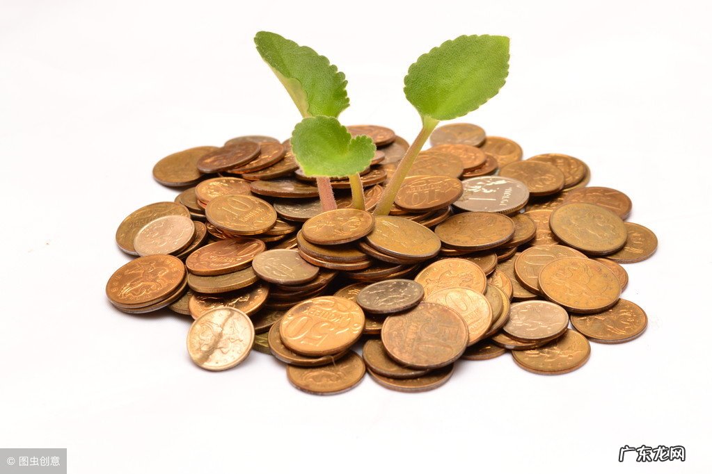 社会主义市场经济的基本特征