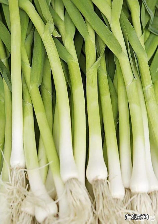 说起家乡的年味儿，有哪些美食最具有代表性呢？